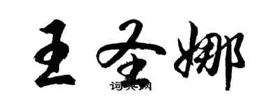 胡問遂王聖娜行書個性簽名怎么寫