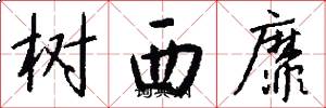 樹西靡怎么寫好看