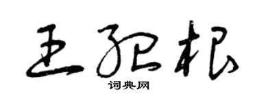 曾慶福王紀根草書個性簽名怎么寫