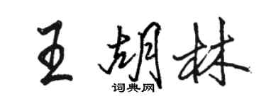 駱恆光王胡林行書個性簽名怎么寫