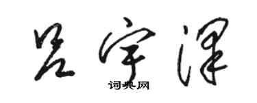 駱恆光呂宇澤草書個性簽名怎么寫