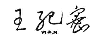 駱恆光王紀密草書個性簽名怎么寫