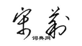 駱恆光宋莉草書個性簽名怎么寫