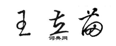 駱恆光王立苗草書個性簽名怎么寫