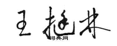 駱恆光王挺林草書個性簽名怎么寫