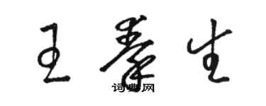 駱恆光王秦生草書個性簽名怎么寫