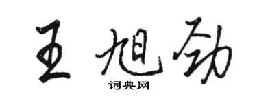 駱恆光王旭勁行書個性簽名怎么寫