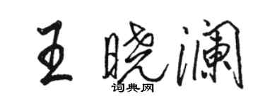 駱恆光王曉瀾行書個性簽名怎么寫