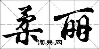 胡問遂柔麗行書怎么寫