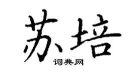丁謙蘇培楷書個性簽名怎么寫