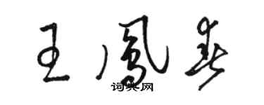 駱恆光王鳳春草書個性簽名怎么寫