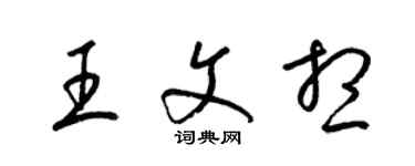 梁錦英王文想草書個性簽名怎么寫