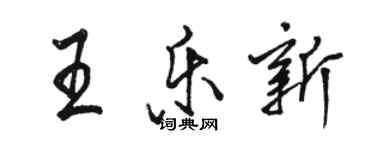 駱恆光王樂新行書個性簽名怎么寫