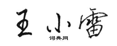 駱恆光王小雷行書個性簽名怎么寫