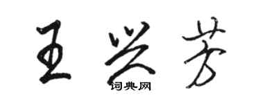 駱恆光王興芳行書個性簽名怎么寫