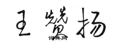 駱恆光王讚揚草書個性簽名怎么寫