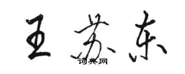 駱恆光王蘇東行書個性簽名怎么寫