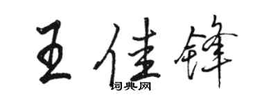 駱恆光王佳鋒行書個性簽名怎么寫
