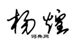 朱錫榮楊煌草書個性簽名怎么寫