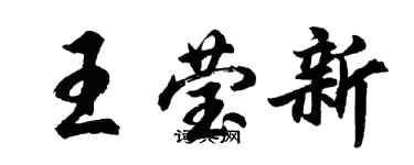 胡問遂王瑩新行書個性簽名怎么寫