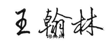 駱恆光王翰林行書個性簽名怎么寫