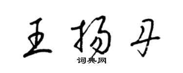 梁錦英王揚丹草書個性簽名怎么寫