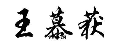 胡問遂王慕獲行書個性簽名怎么寫