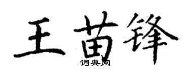 丁謙王苗鋒楷書個性簽名怎么寫