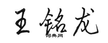 駱恆光王銘龍行書個性簽名怎么寫