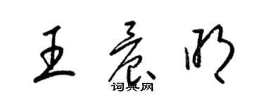 梁錦英王晨明草書個性簽名怎么寫