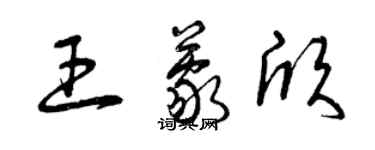 曾慶福王蒙欣草書個性簽名怎么寫