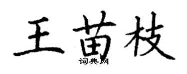 丁謙王苗枝楷書個性簽名怎么寫