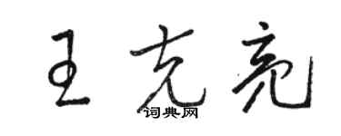駱恆光王克亮草書個性簽名怎么寫