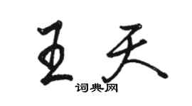 駱恆光王天行書個性簽名怎么寫