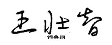 曾慶福王壯智草書個性簽名怎么寫