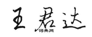 駱恆光王君達行書個性簽名怎么寫