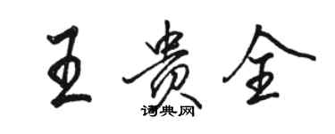 駱恆光王貴全行書個性簽名怎么寫