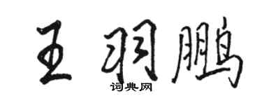駱恆光王羽鵬行書個性簽名怎么寫