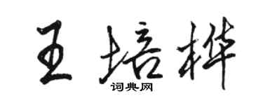 駱恆光王培樺行書個性簽名怎么寫