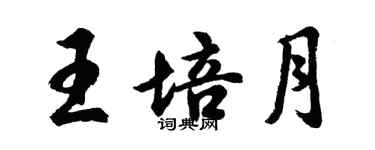 胡問遂王培月行書個性簽名怎么寫