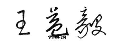 駱恆光王益毅草書個性簽名怎么寫