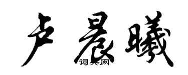 胡問遂盧晨曦行書個性簽名怎么寫