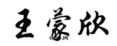 胡問遂王蒙欣行書個性簽名怎么寫