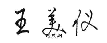 駱恆光王美儀行書個性簽名怎么寫