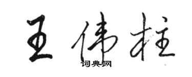 駱恆光王偉柱行書個性簽名怎么寫