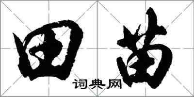 胡問遂田苗行書怎么寫