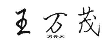 駱恆光王萬茂行書個性簽名怎么寫