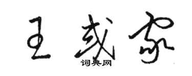 駱恆光王或家草書個性簽名怎么寫