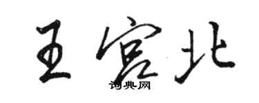 駱恆光王宮北行書個性簽名怎么寫