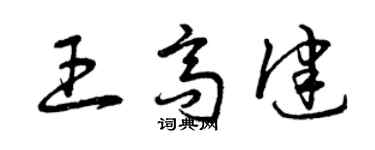 曾慶福王高健草書個性簽名怎么寫